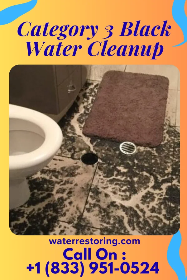 Category 3 Black Water Cleanup in South Rockwood, MI