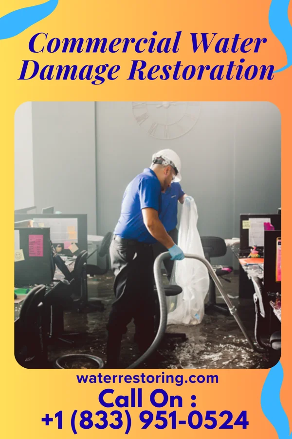 Commercial Water Damage Restoration in South Rockwood, MI