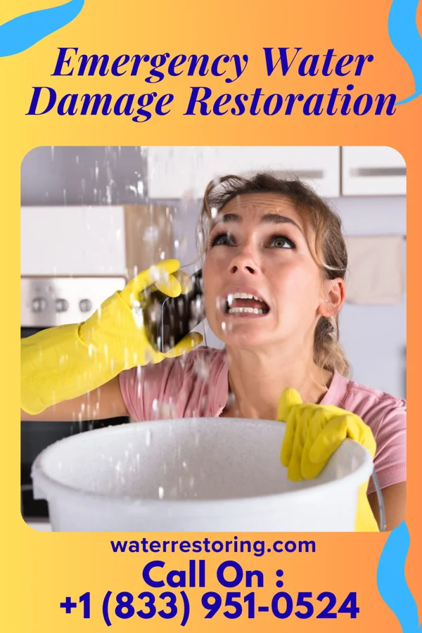 Emergency Water Damage Restoration in South Rockwood, MI
