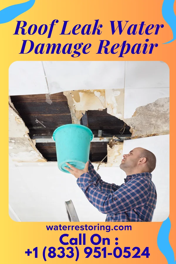 Roof Leak Water Damage Repair in South Rockwood, MI