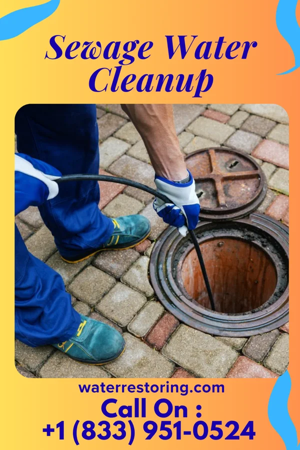 Sewage Water Cleanup in South Rockwood, MI